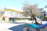板橋区新築一戸建て画像4