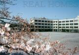 板橋区東新町1丁目中古一戸建て画像6