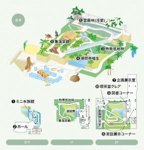 植物園　カラー